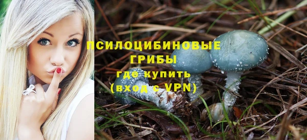 гидропоника Верея